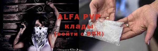 сатива Белоозёрский