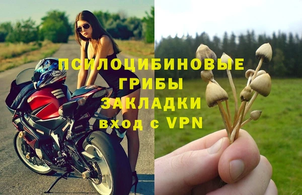 индика Богданович