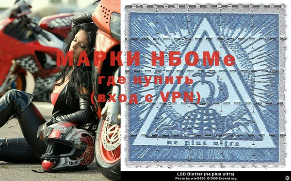 индика Богданович