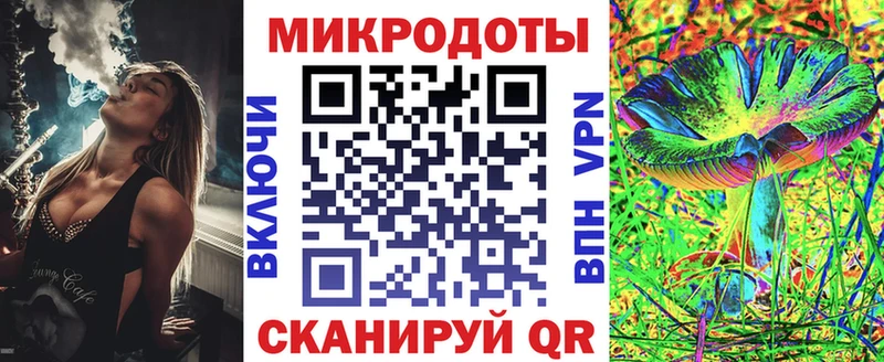 купить   Кашира  Галлюциногенные грибы Magic Shrooms 